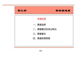 汇源集团新产品营销策划全案