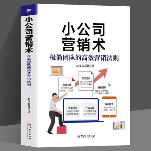 极简团队的高效营销法则 从赵涛与赵彦锋的智慧中寻找增长密码